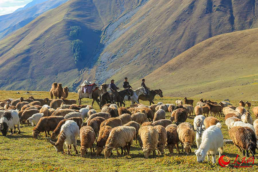 Буыршын, Шы?жа?: к?зг? к?шке к?мектескен полицейлер