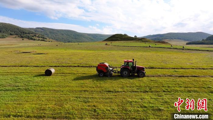 Малшылар ш?п жинап, ?ысты? ?амын ?амдап жатыр