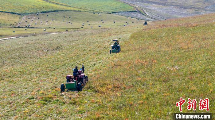 Малшылар ш?п жинап, ?ысты? ?амын ?амдап жатыр