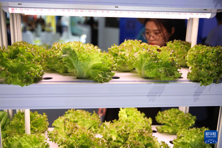 ?ызмет к?рсету - сауда ж?рме?кес?ндег? ?мамандандырыл?ан, тал?ам?а сай, арнайы ж?не жа?а? элементтер