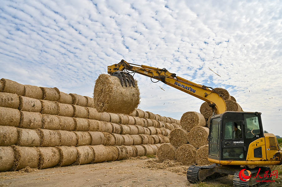 Бочжоу, Аньхой: Сабанды ?айта ??деу ?алды?тарды ?азына?а айналдырады