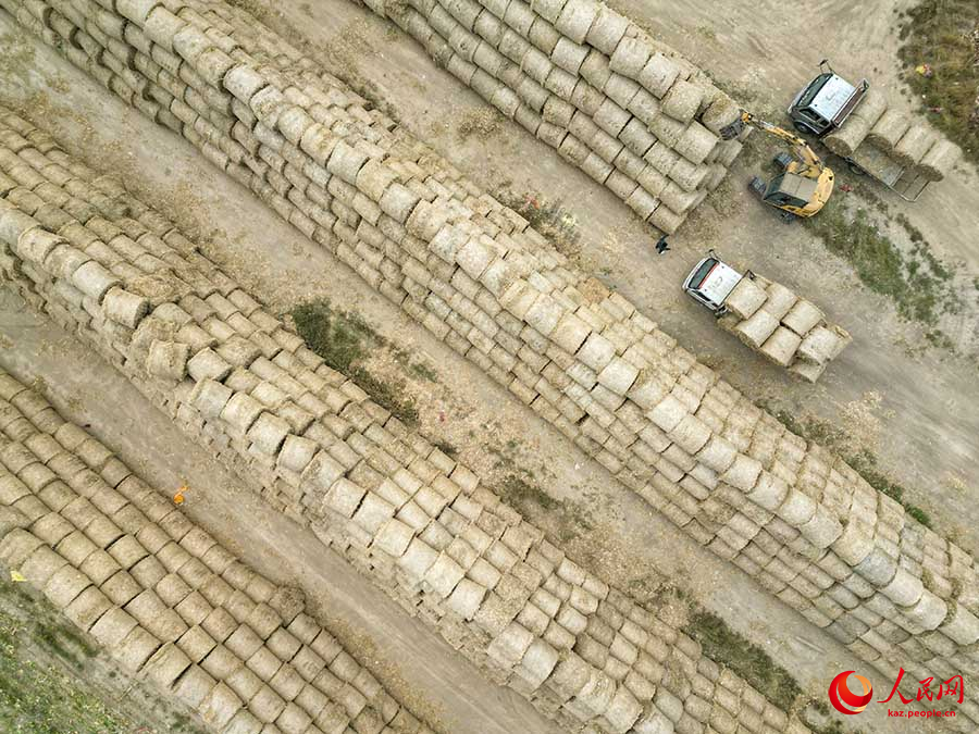 Бочжоу, Аньхой: Сабанды ?айта ??деу ?алды?тарды ?азына?а айналдырады