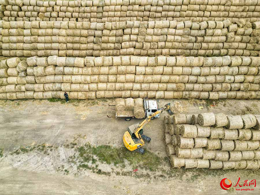 Бочжоу, Аньхой: Сабанды ?айта ??деу ?алды?тарды ?азына?а айналдырады