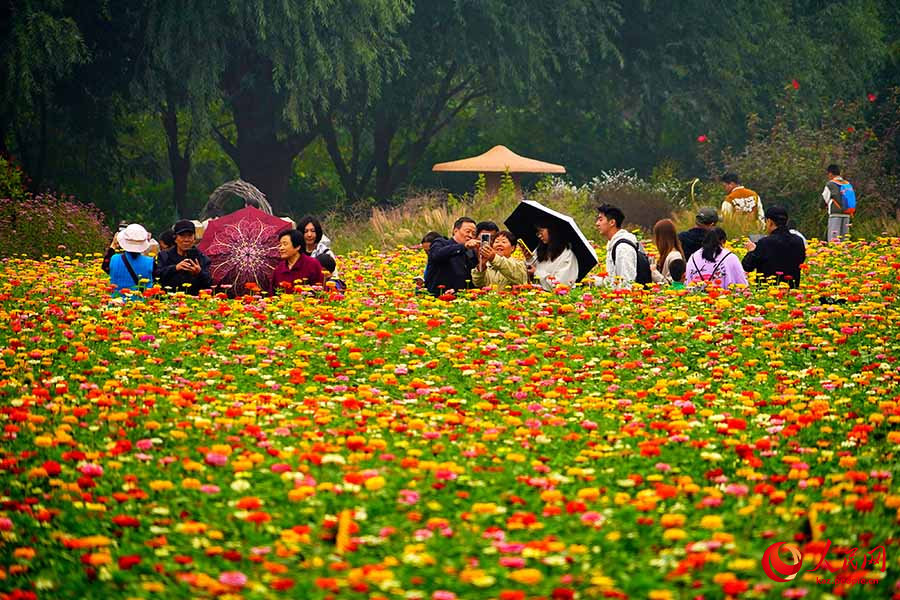 Бейж??: Олимпиадалы? орман саяба?ыны? к?зг? пейзажы туристерд? ?ызы?тырды