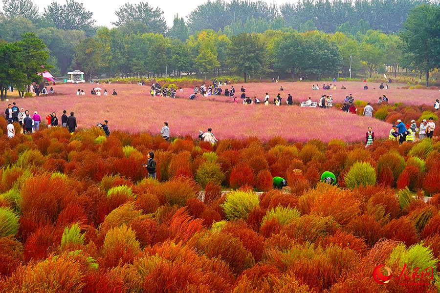 Бейж??: Олимпиадалы? орман саяба?ыны? к?зг? пейзажы туристерд? ?ызы?тырды