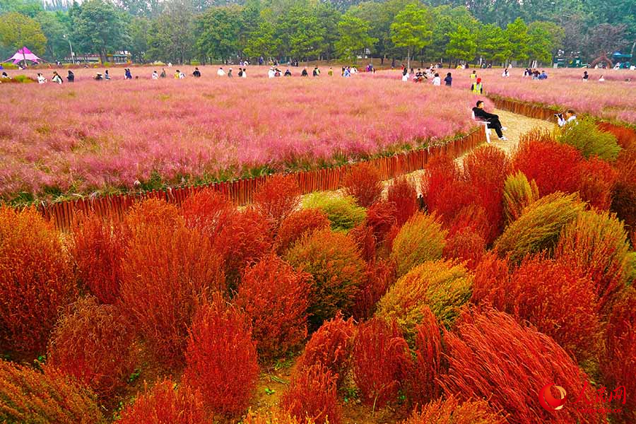 Бейж??: Олимпиадалы? орман саяба?ыны? к?зг? пейзажы туристерд? ?ызы?тырды