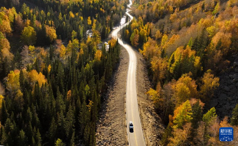 Шы?жа?да?ы сына? рет?нде ашыл?ан Алтай-?ом тасжолы ?майлы бояу д?л?з?не? ??сайды