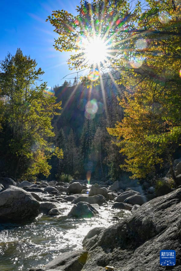 Шы?жа?да?ы сына? рет?нде ашыл?ан Алтай-?ом тасжолы ?майлы бояу д?л?з?не? ??сайды