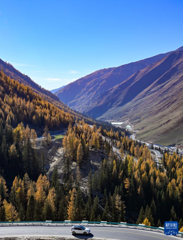 Шы?жа?да?ы сына? рет?нде ашыл?ан Алтай-?ом тасжолы ?майлы бояу д?л?з?не? ??сайды
