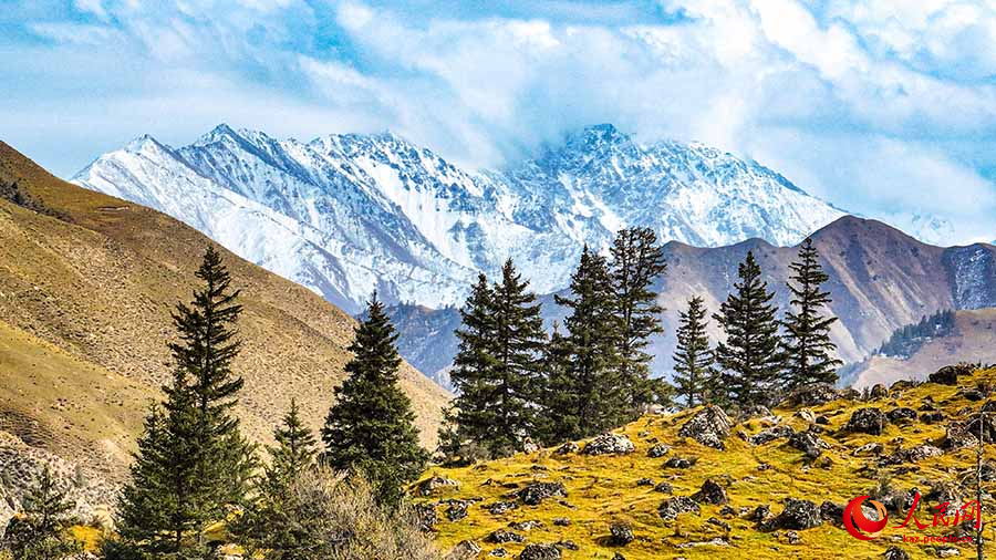 Сунань, Ганьсу: К?зг? Цилиан тауыны? к?ркем пейзаждары