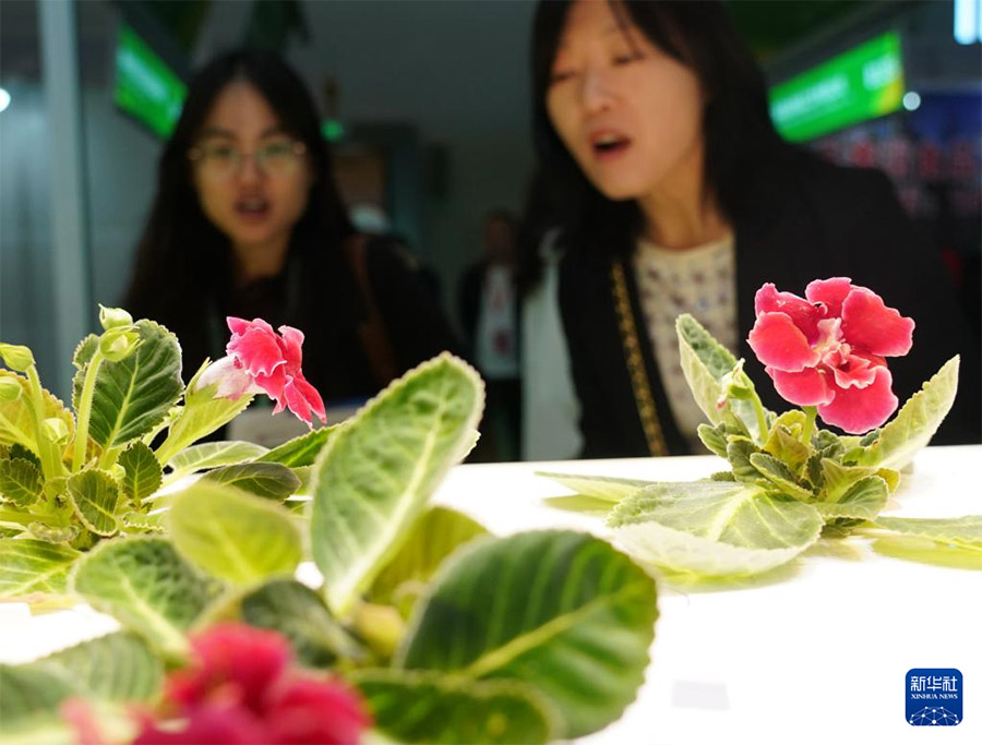 Бейж??де 2024 жыл?ы Д?ниеж?з?л?к ауыл шаруашылы?ы ?ылымы мен технологиясыны? инновациялы? конференциясы ?тт?