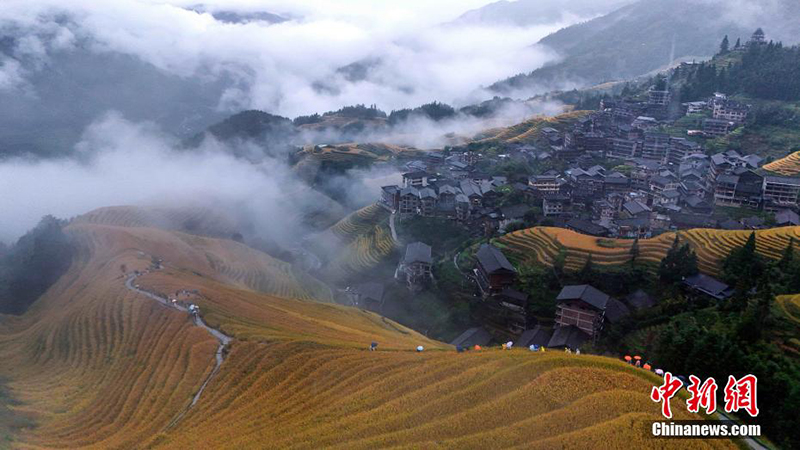 Гуансид?? Луншэнында?ы жа?бырдан кей?нг? к?ркем к?р?н?с