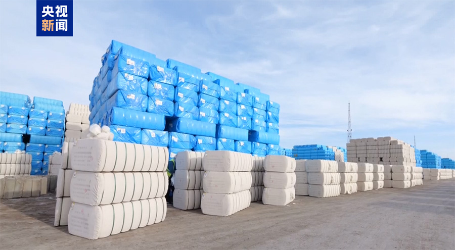 Шы?жа? ?аш?ар ма?тасы ег?н жинау кезе??не к?шт?