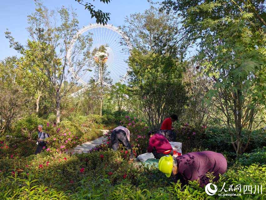 2024 жыл?ы Чэнду д?ниеж?з?л?к бау-ба?ша к?рмес? жабылды