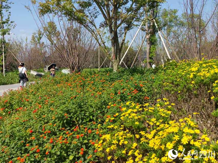 2024 жыл?ы Чэнду д?ниеж?з?л?к бау-ба?ша к?рмес? жабылды