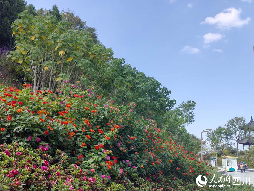 2024 жыл?ы Чэнду д?ниеж?з?л?к бау-ба?ша к?рмес? жабылды