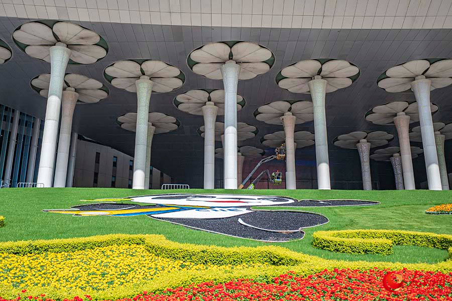 Шанхай: импорт к?рмес?не орай алуан т?рл? г?лдермен к?мкер?лд?