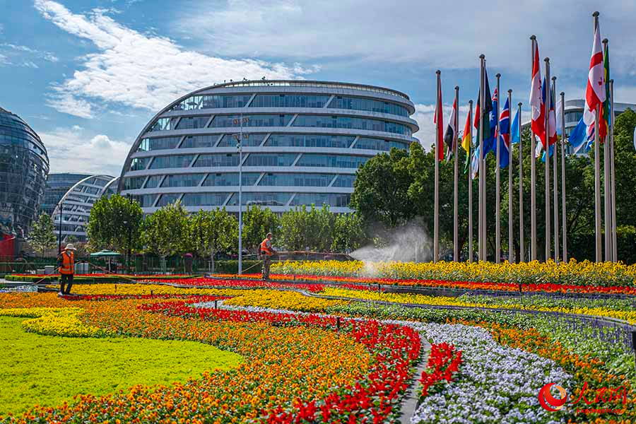 Шанхай: импорт к?рмес?не орай алуан т?рл? г?лдермен к?мкер?лд?