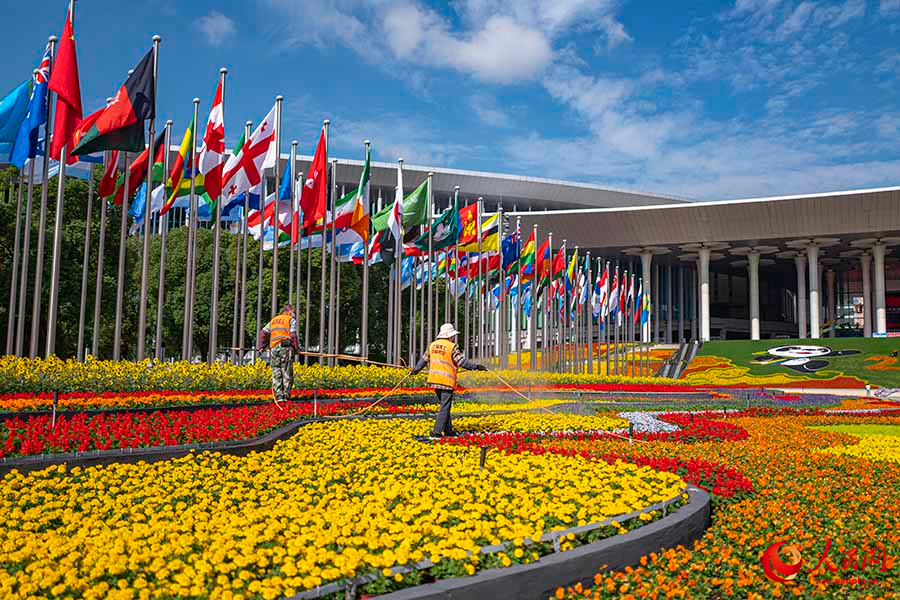 Шанхай: импорт к?рмес?не орай алуан т?рл? г?лдермен к?мкер?лд?