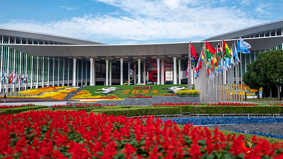 Шанхай: импорт к?рмес?не орай алуан т?рл? г?лдермен к?мкер?лд?