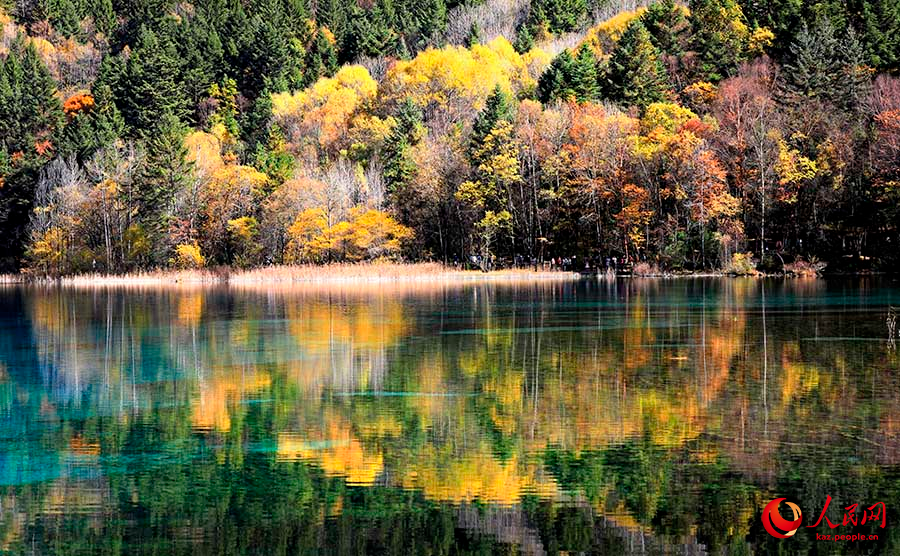 Цзючжайгоу, Сычуань: к?з мей?р?н ?андырарлы? к?зг? к?ркем пейзаждар