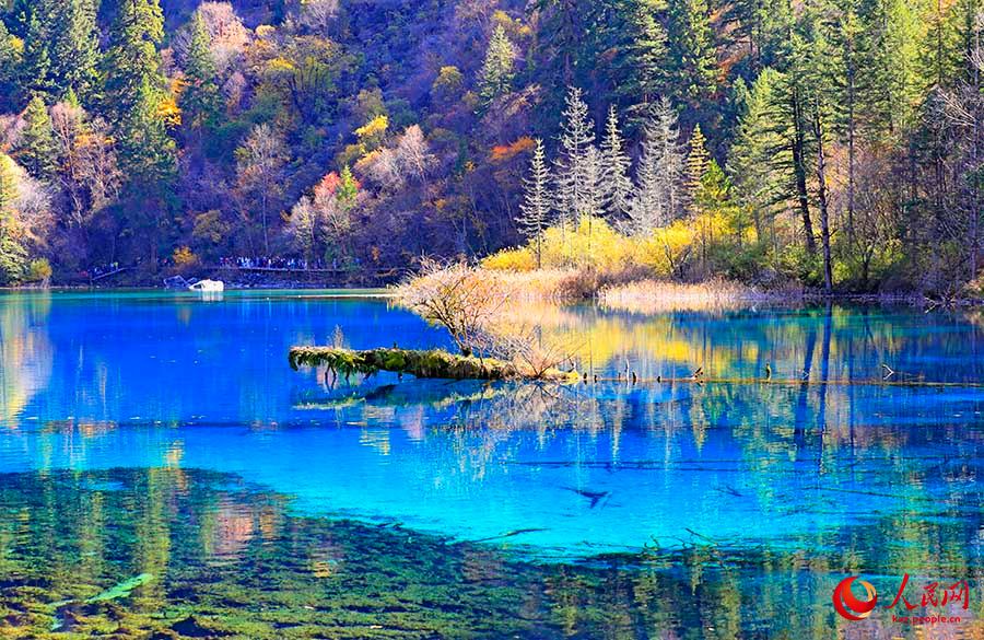 Цзючжайгоу, Сычуань: к?з мей?р?н ?андырарлы? к?зг? к?ркем пейзаждар