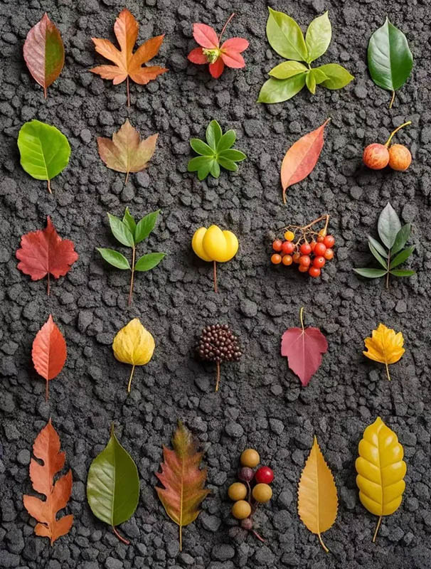 ?ытай жастары арасында ?к?зд? жинау? ?ызу та?ырып?а айналып, туризмды ынталандырды