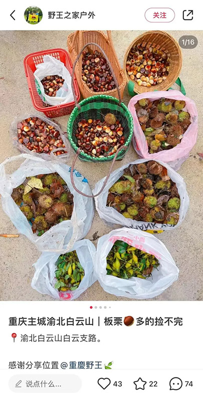 ?ытай жастары арасында ?к?зд? жинау? ?ызу та?ырып?а айналып, туризмды ынталандырды