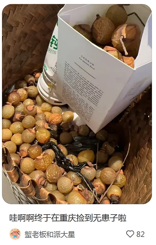 ?ытай жастары арасында ?к?зд? жинау? ?ызу та?ырып?а айналып, туризмды ынталандырды