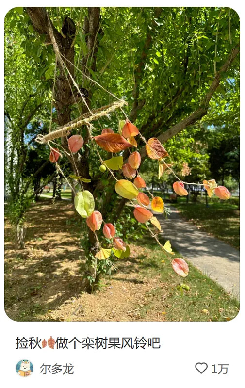 ?ытай жастары арасында ?к?зд? жинау? ?ызу та?ырып?а айналып, туризмды ынталандырды