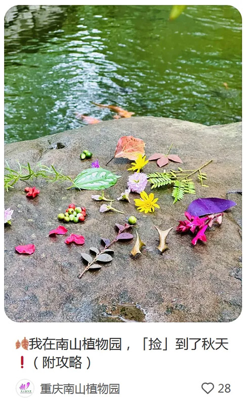 ?ытай жастары арасында ?к?зд? жинау? ?ызу та?ырып?а айналып, туризмды ынталандырды