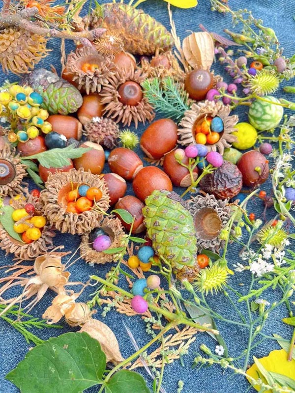 ?ытай жастары арасында ?к?зд? жинау? ?ызу та?ырып?а айналып, туризмды ынталандырды