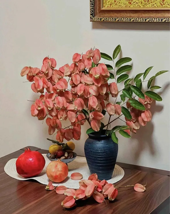 ?ытай жастары арасында ?к?зд? жинау? ?ызу та?ырып?а айналып, туризмды ынталандырды