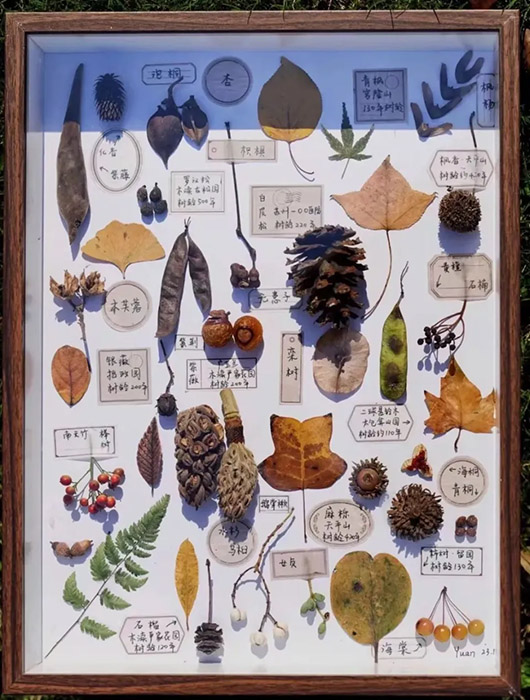 ?ытай жастары арасында ?к?зд? жинау? ?ызу та?ырып?а айналып, туризмды ынталандырды