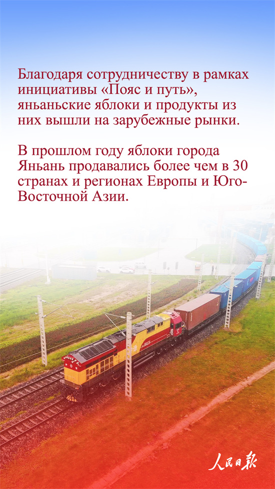 ?ытай алмалары неге танымал?