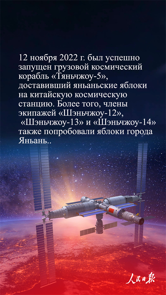 ?ытай алмалары неге танымал?