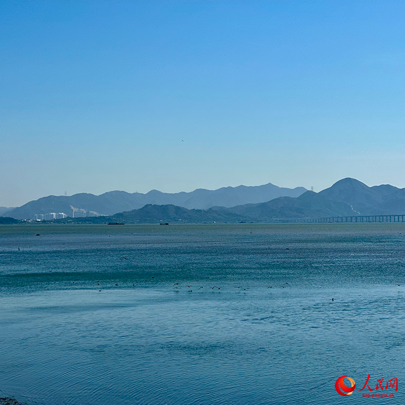 Шэньчжэнь шы?ана?ы: Шэньчжэнь экологиясы мен ?алалануыны? ку?с?