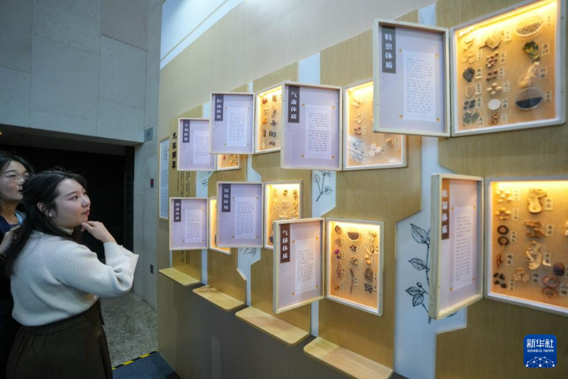 2024 Бейж??де Д?ниеж?з?л?к д?ст?рл? медицина конгрес? басталды