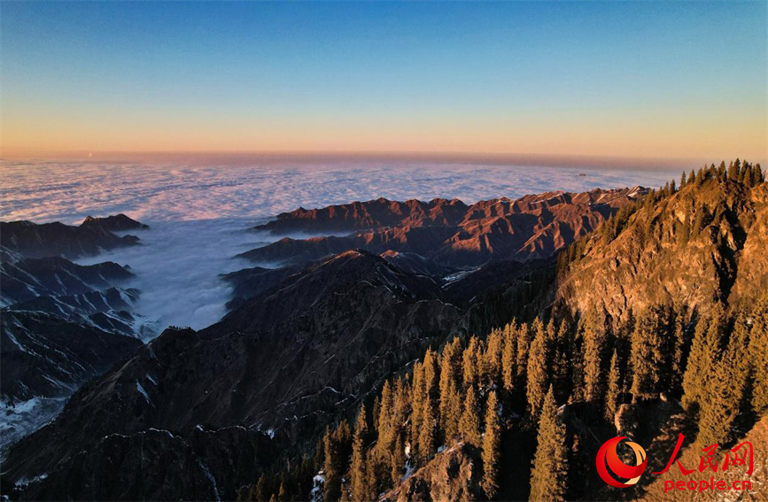 Шы?жа?да?ы Бо?да к?л?н?? ?ыс?ы келбет?