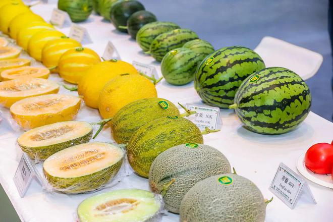 Саньяда 29-ыншы кезект? Азия т??ым конференциясы ашылды