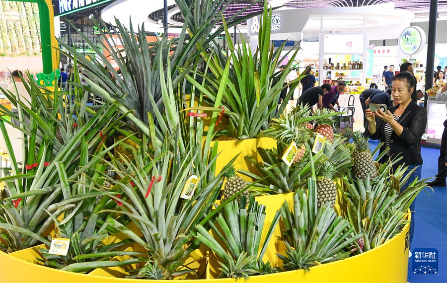 Хайнань ?ыс?ы ж?рме?кес? басталды