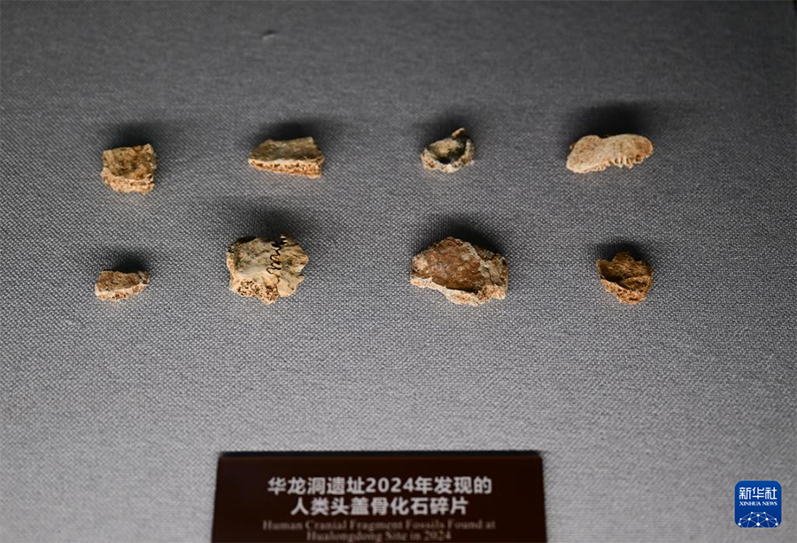 ?ытайды? Хуалун ??г?р? адамы Шы?ыс Азияда е? ерте гомо сапиенске айнал?ан ежелг? адам екен? расталды