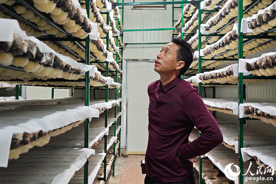 Тремелла индустриясын дамытуды? б?р?нш? конференциясы Фуцзянь ?лкес?н?? Гутянь ауданында ?тт?