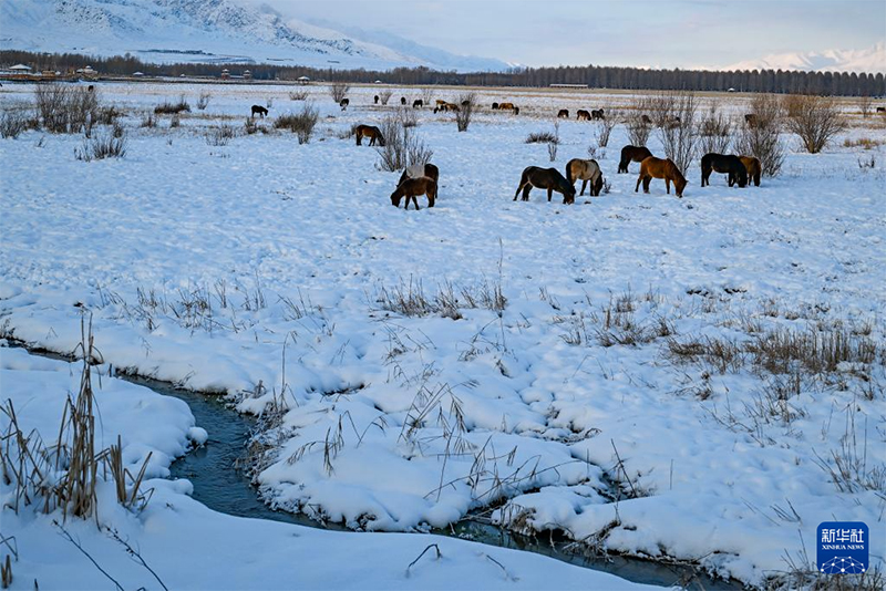 Шы?жа?ны? Арасан ауданында?ы ?а?а?ан аязда ?айнап жат?ан арасан бастаулар