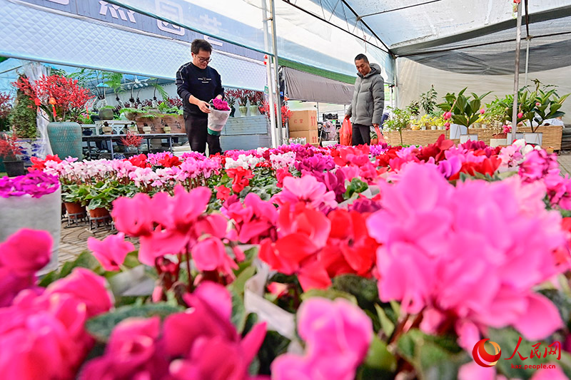 Шаньдунны? Цинчжоуында жа?а жыл ?арса?ында г?лдер саудасы жанданды