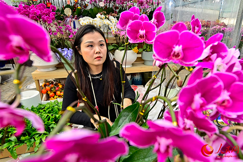 Шаньдунны? Цинчжоуында жа?а жыл ?арса?ында г?лдер саудасы жанданды