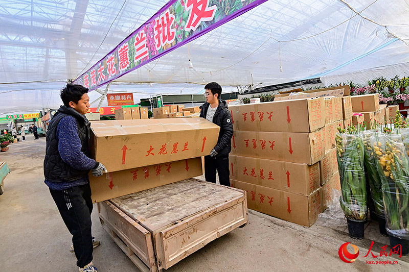 Шаньдунны? Цинчжоуында жа?а жыл ?арса?ында г?лдер саудасы жанданды