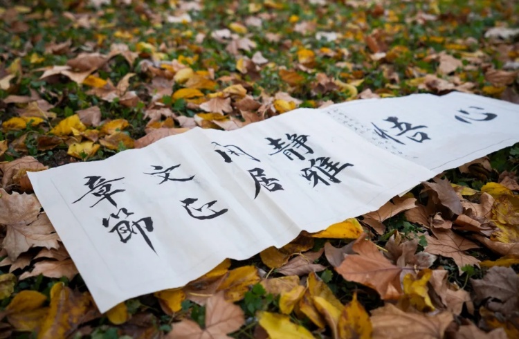 54 жаста?ы университет к?зетш?с? жел?де танымал болды