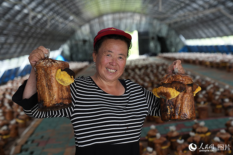 2024: К?л?мс?реген ж?здер ж?не жылы естел?ктер