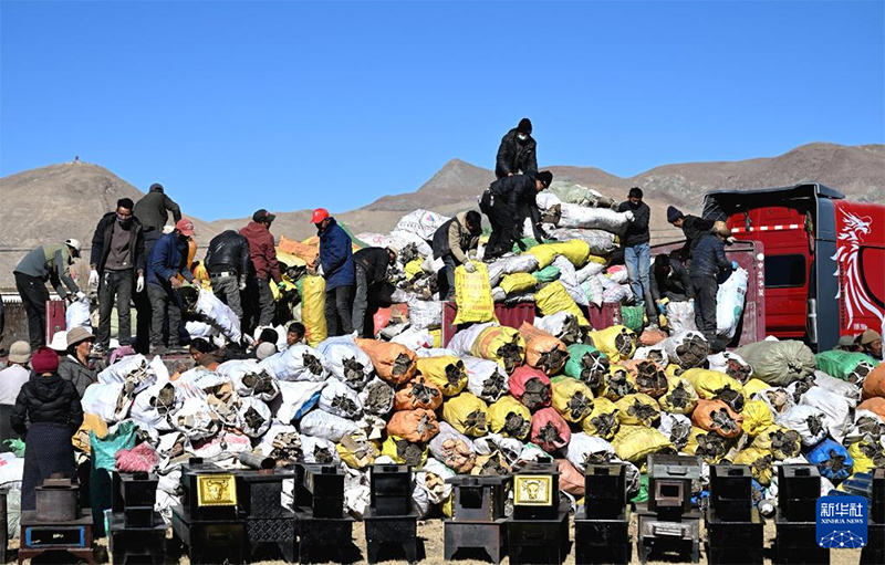 Лацзы ауданы жер с?лк?н?с? айма?ында?ы апаттан зардап шеккендерд? к?ш?ру ж?мыстары жоспарлы ж?р?п жатыр